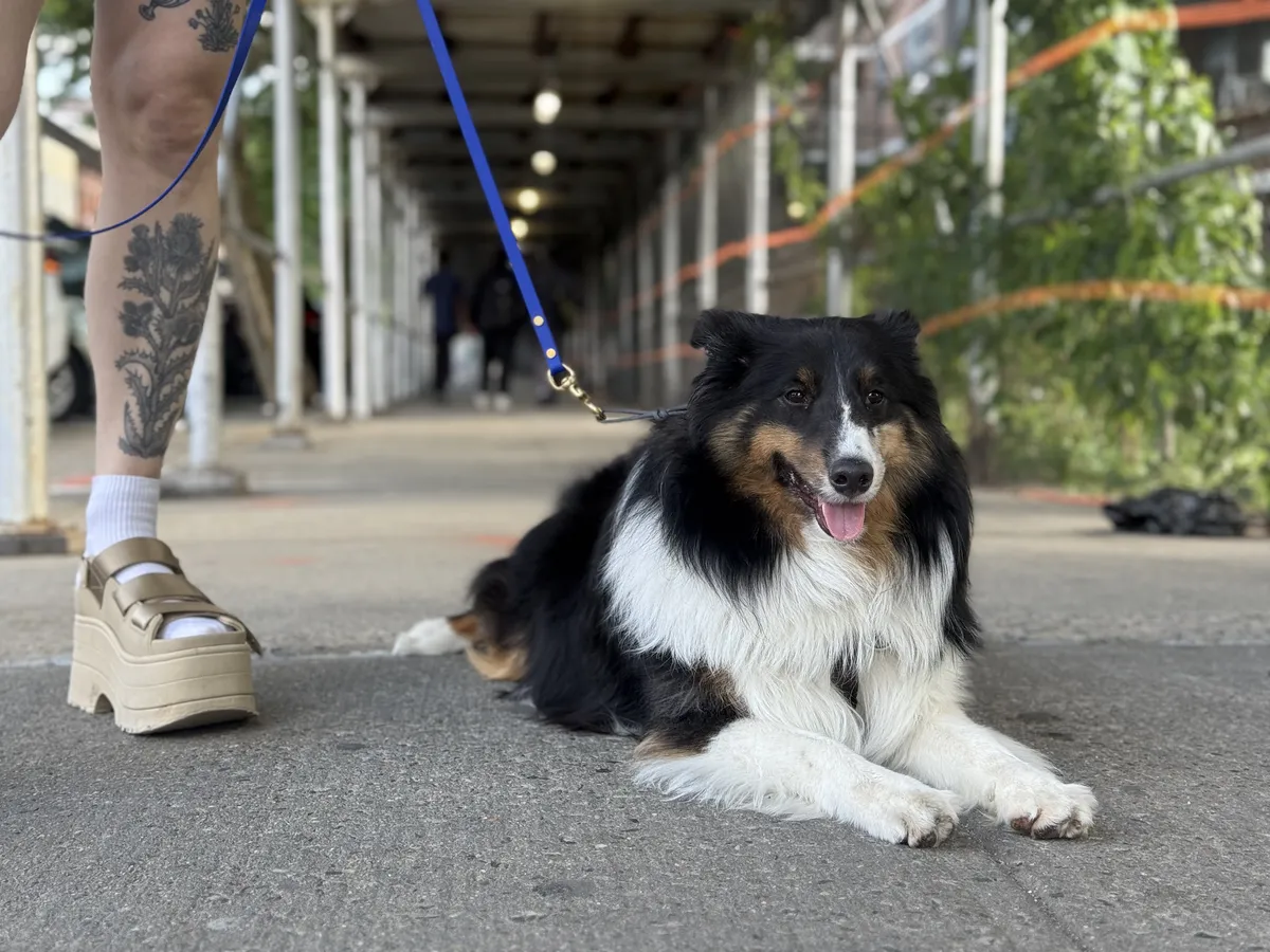 Twahlee, founder of Metro Dog Training, standing with disciplined composure in a high-contrast architectural setting in New York City