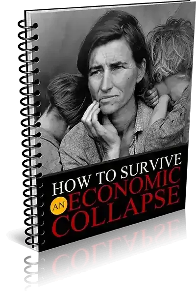 economic collapse guide