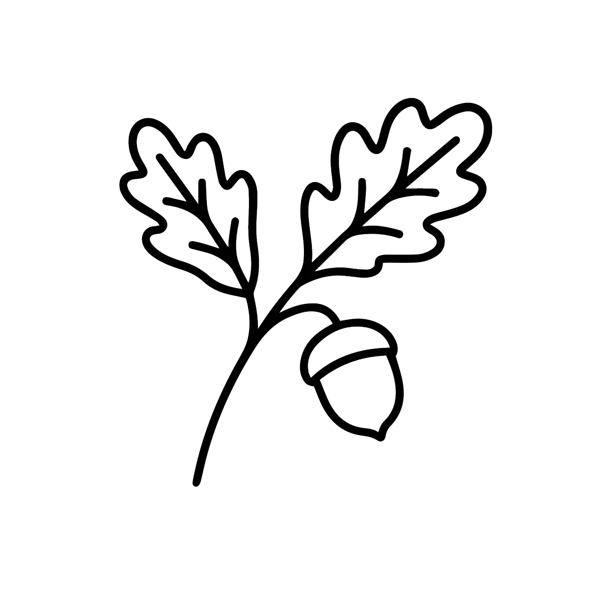 recommended gardening and outdoors products