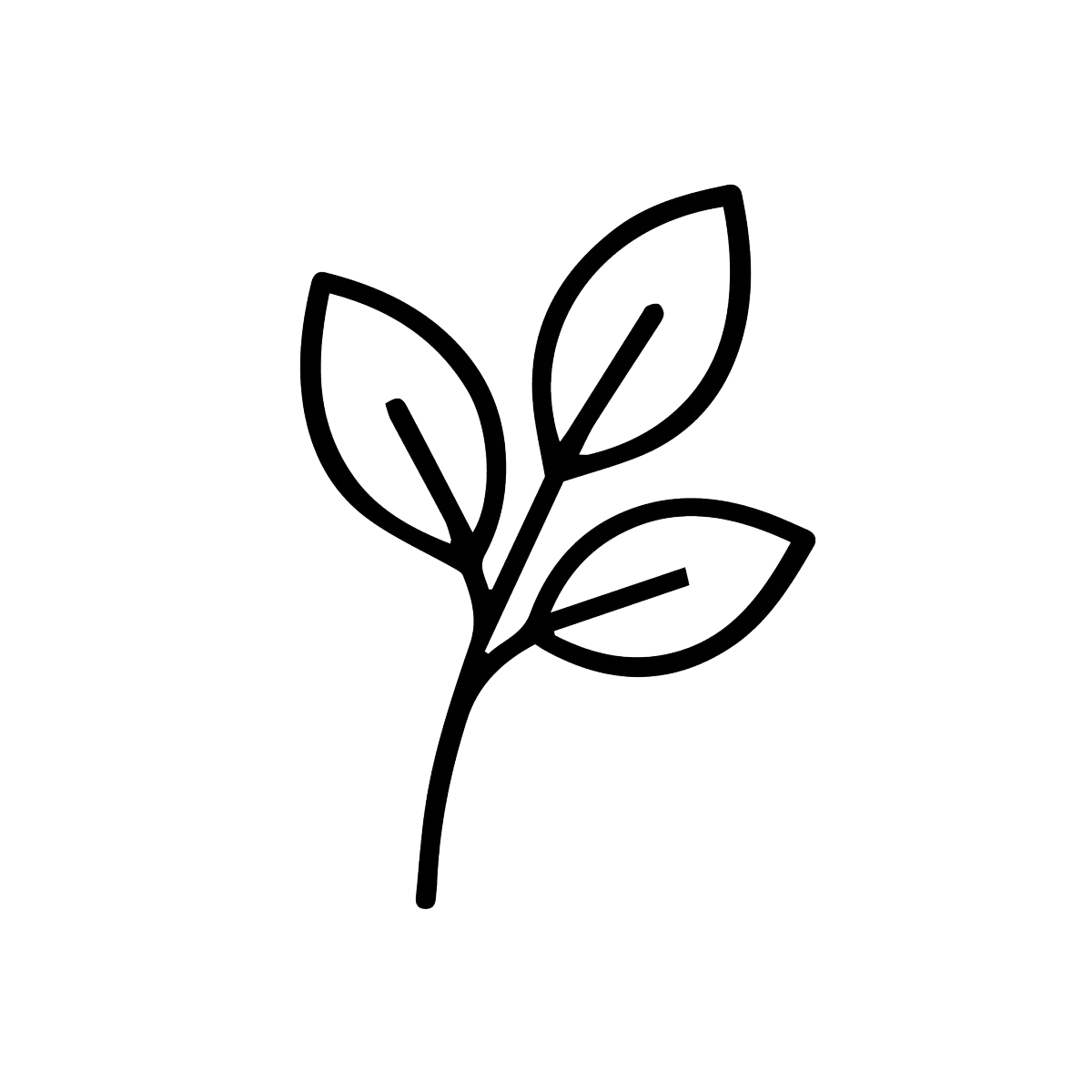 flower bouquet in galvanized can by Leefield and co