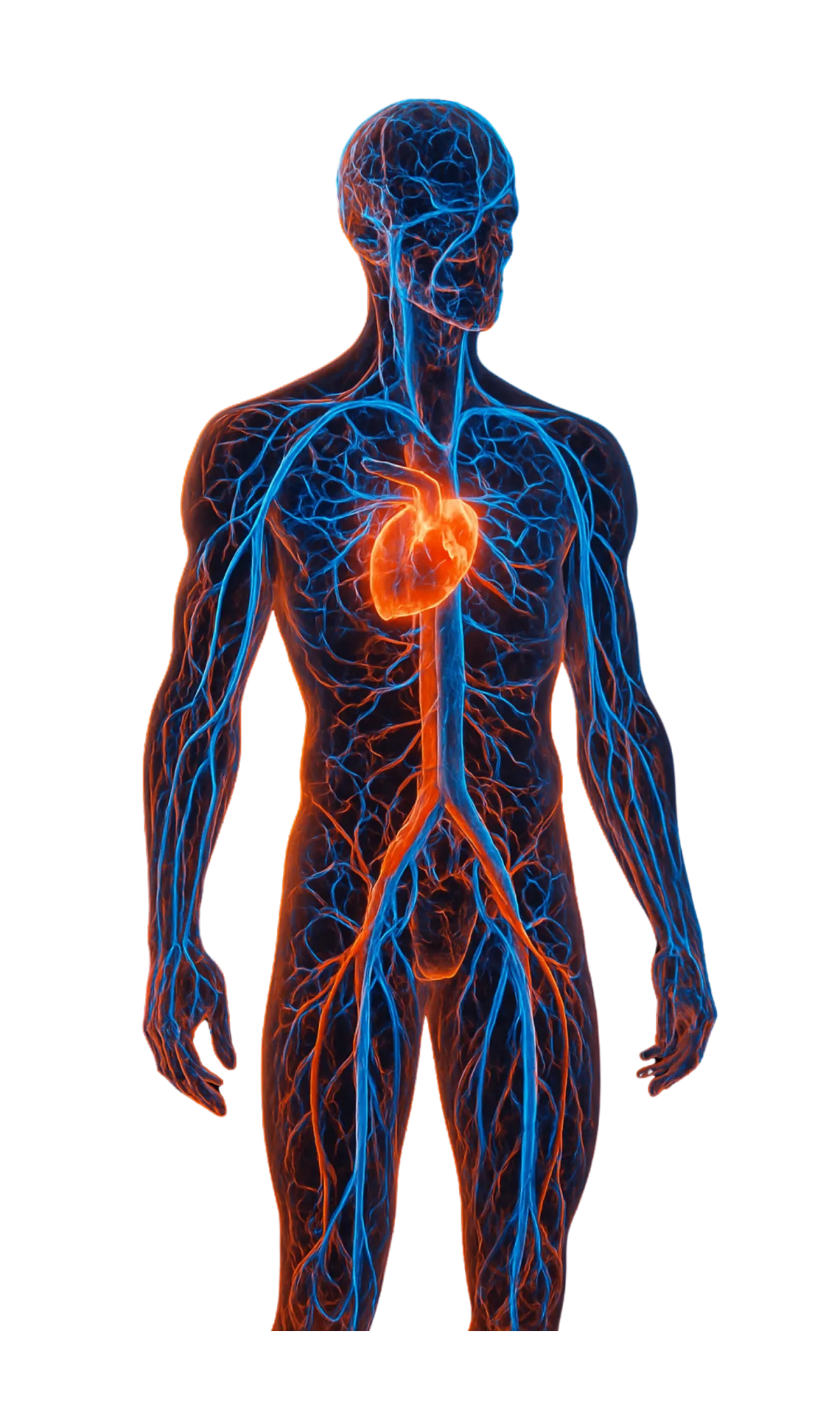 a large display of blue lights in a dark room