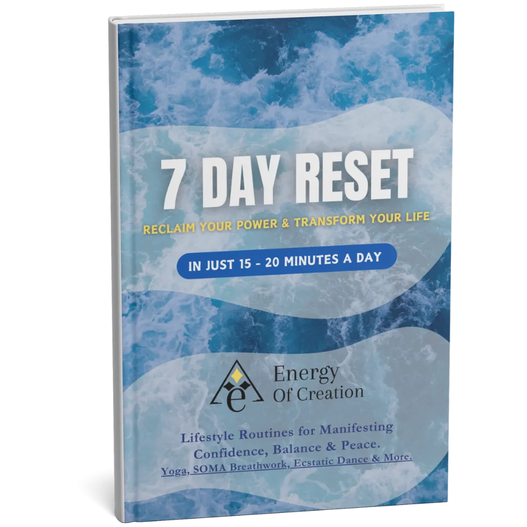 7 Day Reset Workbook Mockup