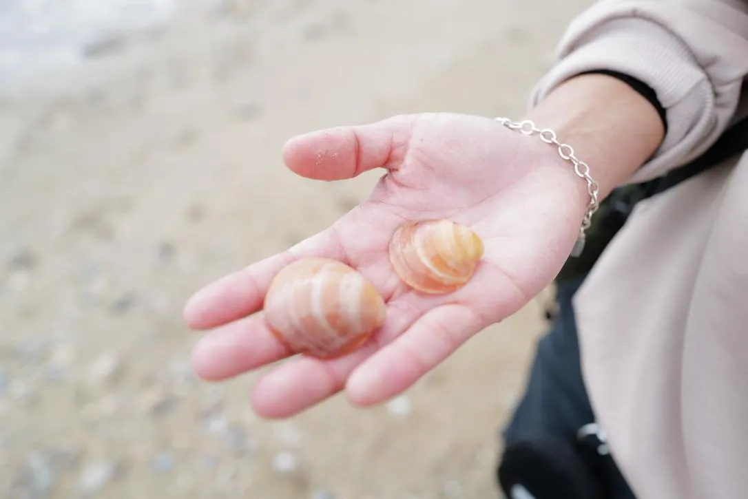 Victoria, Minister ASii holding 2 shells at a beah in Ibiza