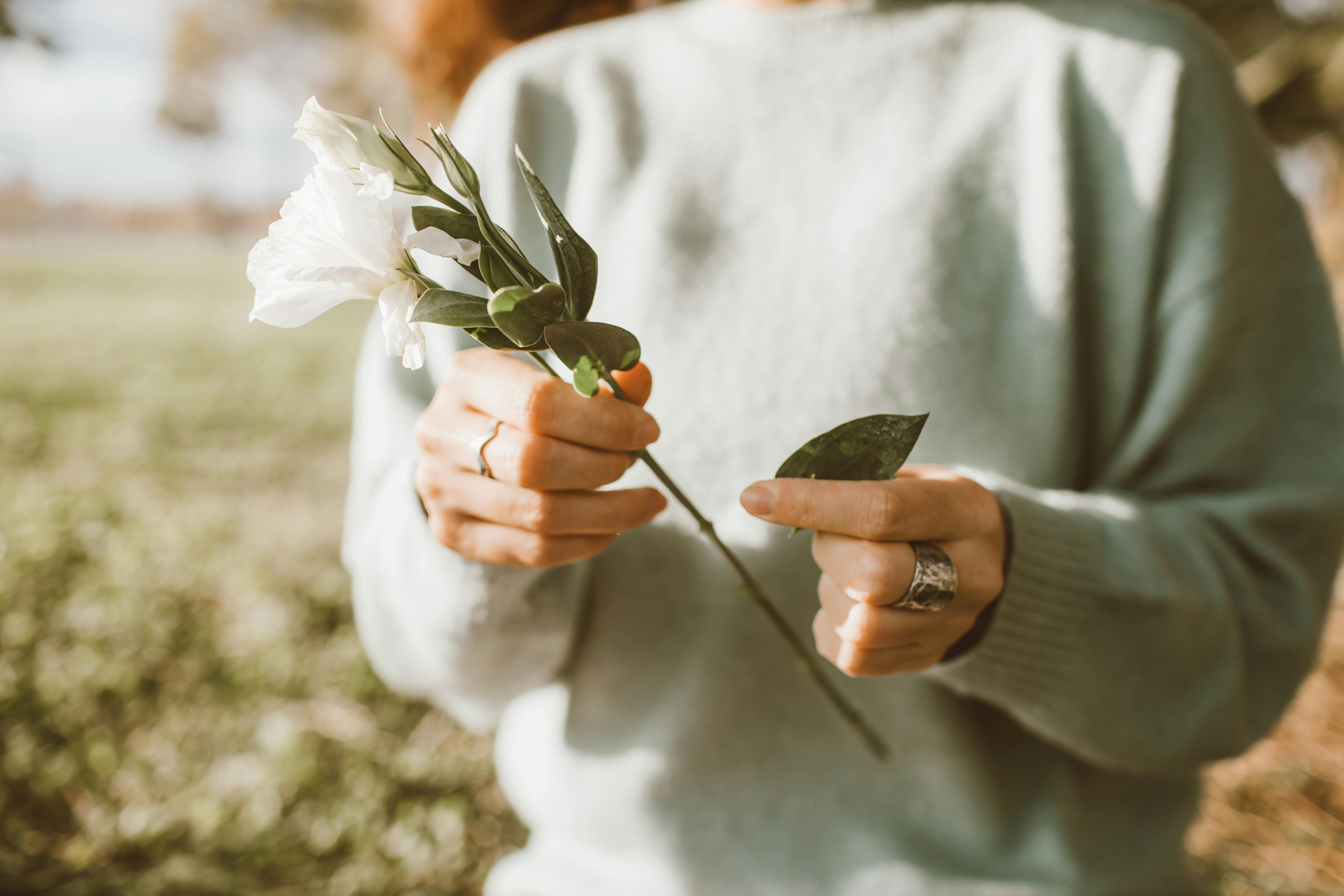 Person Holding White Flower