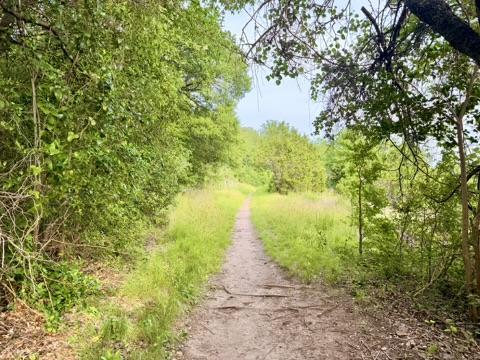 The pathway that leads from dysregulation to deep somatic healing 