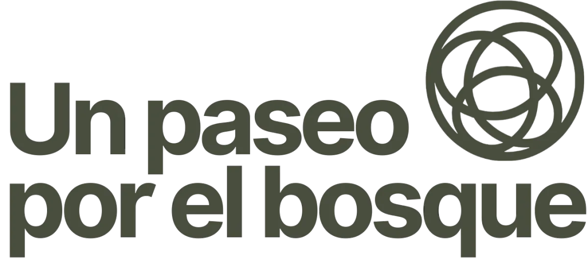 Un paseo por el bosque