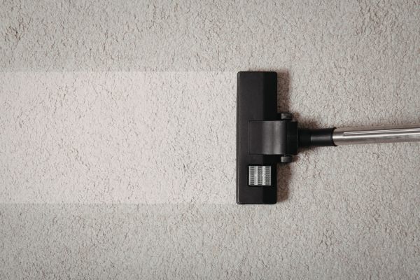 Area Rug & Oriental Rug Cleaning in