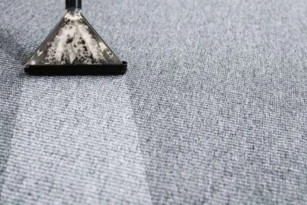 Area Rug & Oriental Rug Cleaning in