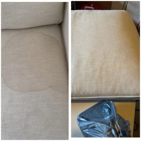 Area Rug & Oriental Rug Cleaning in 