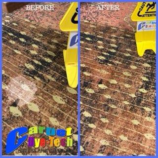 Upholstery Cleaning & Protection in 