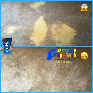 Tile, Grout & Hard Floor Care in 