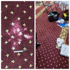 Area Rug & Oriental Rug Cleaning in 