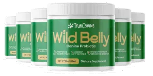 wild belly canine probiotic 6bottle