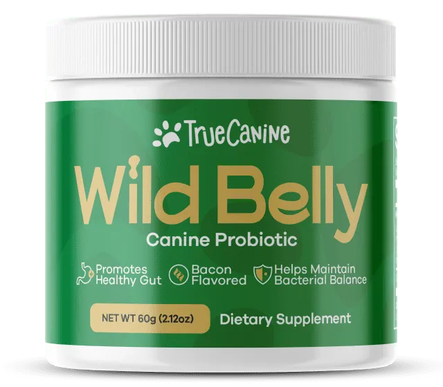 canine probiotic supplement