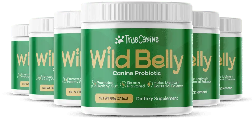 buy probiotics for dogs