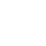 icon1