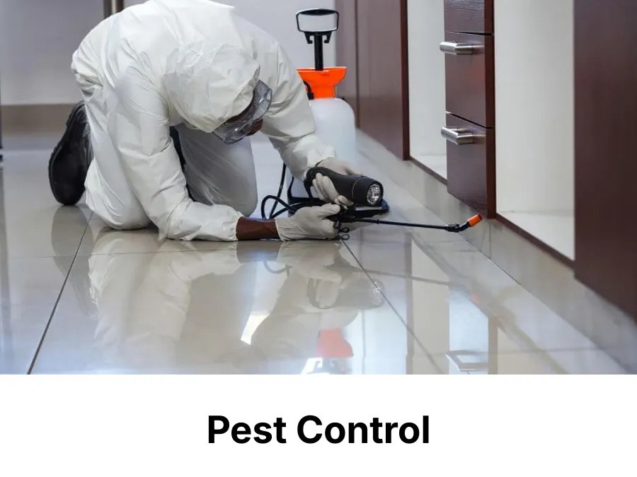 Pest control specialist