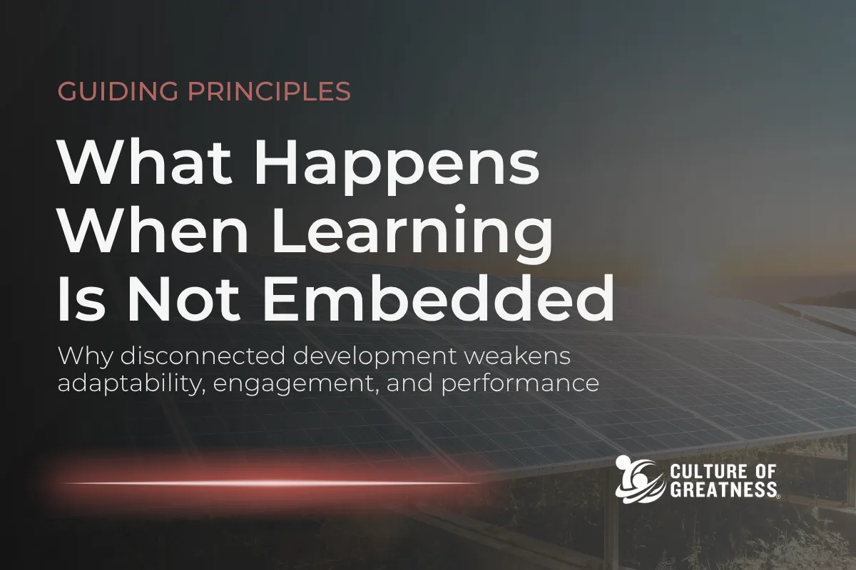 Learning is often treated as a separate initiative rather than an integrated part of how organizations operate. When development isn't embedded into daily work, teams struggle to adapt, improve, and sustain performance over time. Skills stagnate, engagement declines, and decision-making weakens. This article examines what happens when learning is not embedded and why organizations that fail to build continuous learning into their leadership systems lose adaptability, consistency, and long-term performance.