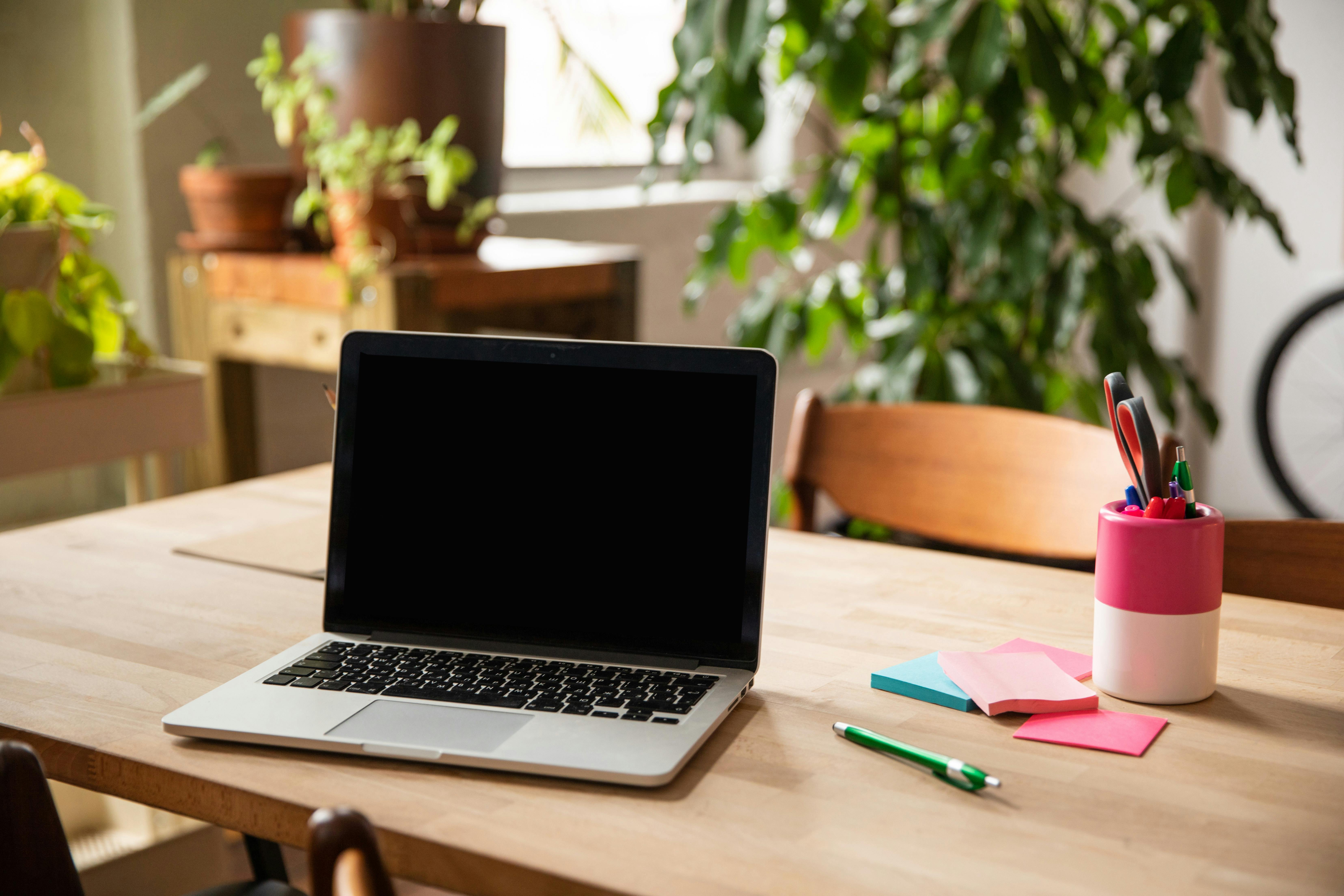laptop sitting on timber desk with plants in background