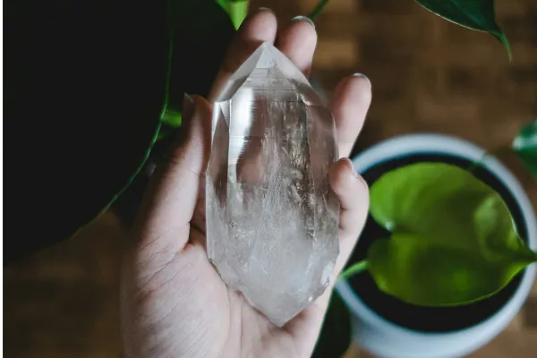 hand holding clear crystal plant on desk