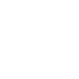 Down Arrow Icon