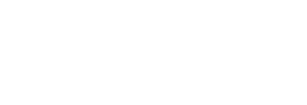 Logo oficial de AVIS Ecuador