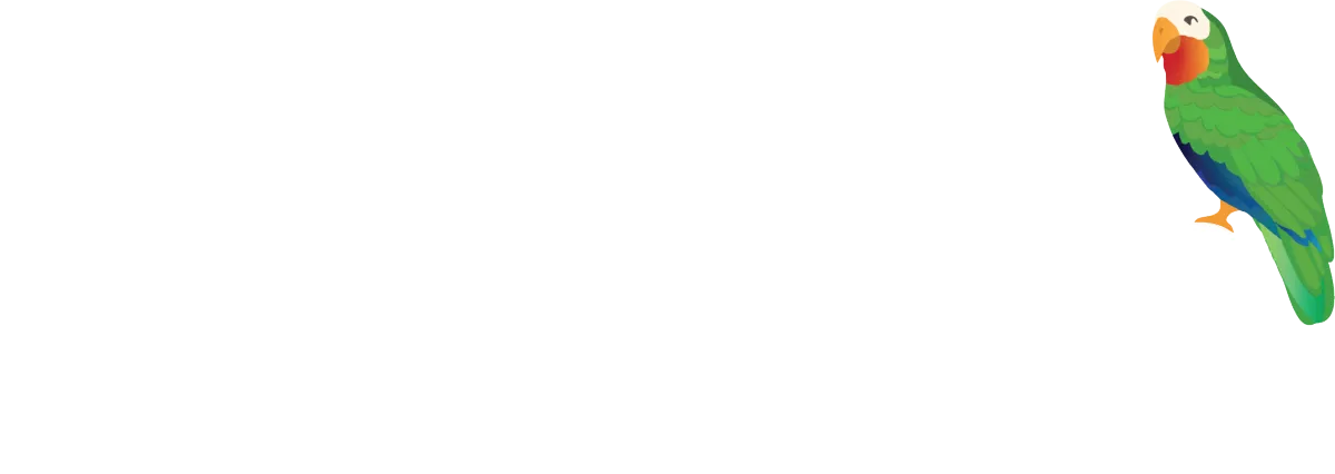 Daydream Outdoor Living