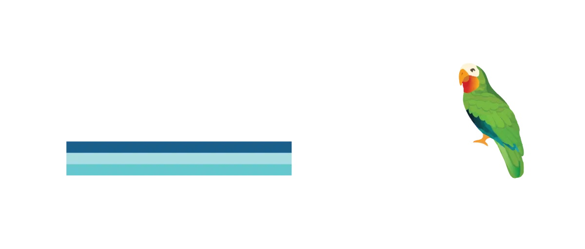 Daydream Pools