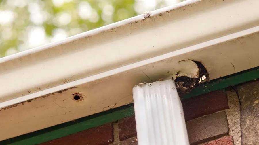 Damaged gutter with a hole in it on a home in Albany Ga