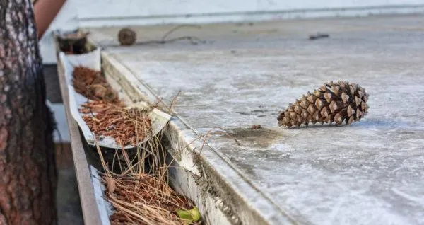 Dirty Commercial gutter guards that need a gutter cleaning