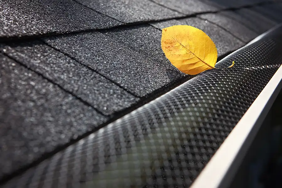 New gutter guard/cover on a residential home in Albany Ga