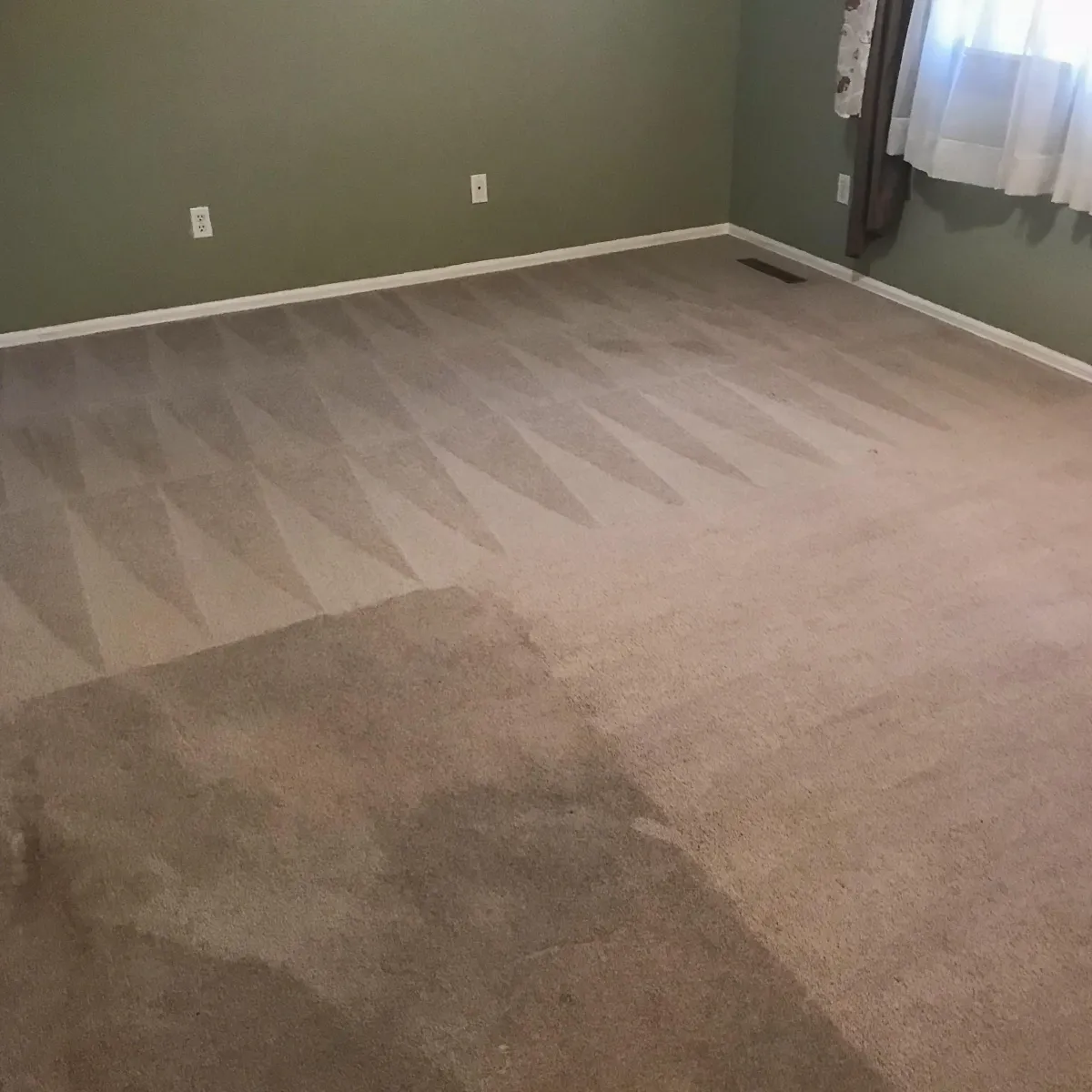 clean carpet lines after a cleaning
