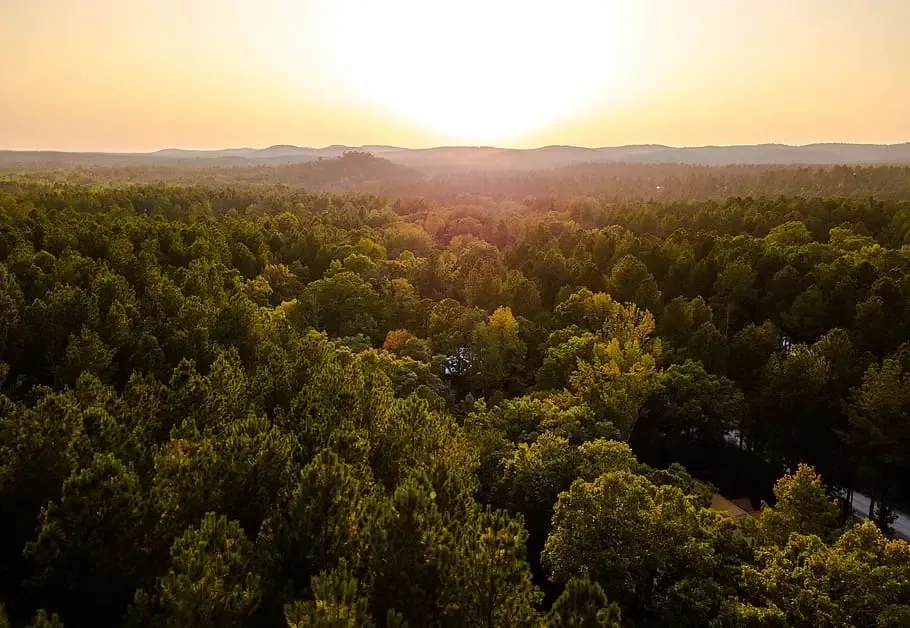 Serene sunset over forested hills, capturing nature's tranquil beauty.
