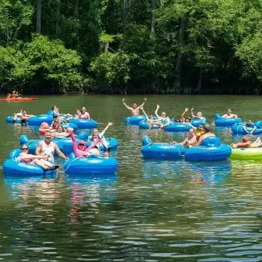 People tubing on a calm river surrounded by a lush green forest.
