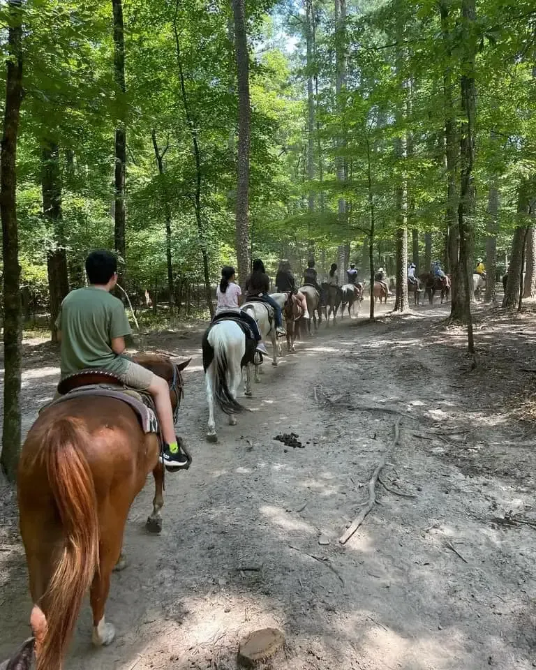 Group horseback riding through lush, scenic forest trails.