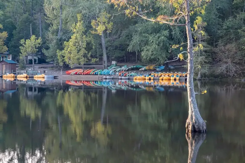 Serene lake with vibrant kayaks neatly lined along the shore.