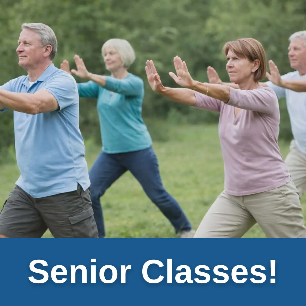 Senior Martial Arts!