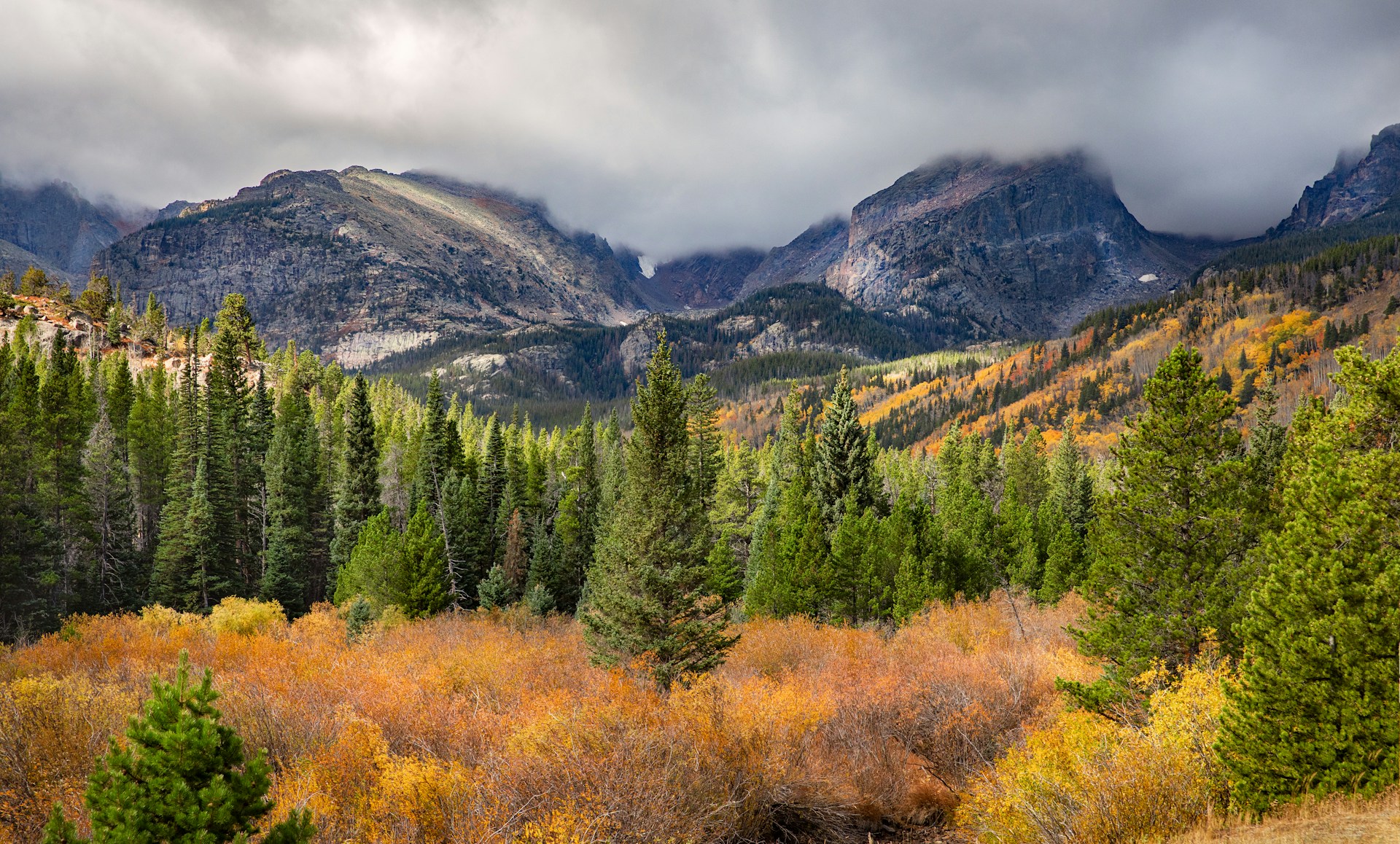 Come to Rocky Mountain National Park and Search for the Moose!