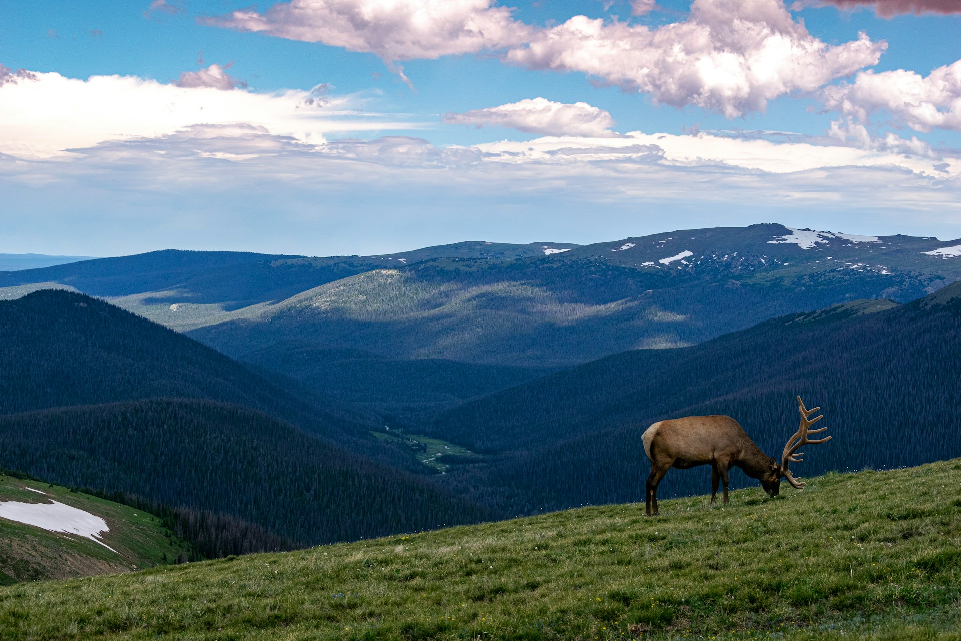 What are the Best Towns to Stay when Visiting Rocky Mountain National Park