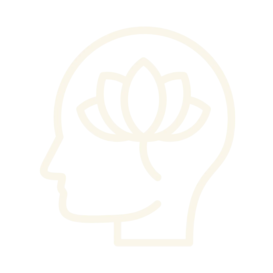 Sanasoul Coaching