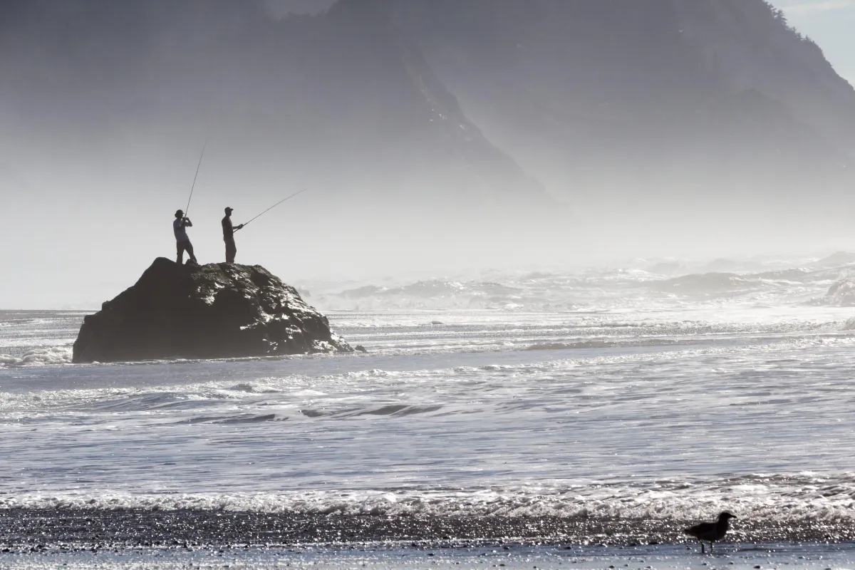 Cinematic outdoor landscape