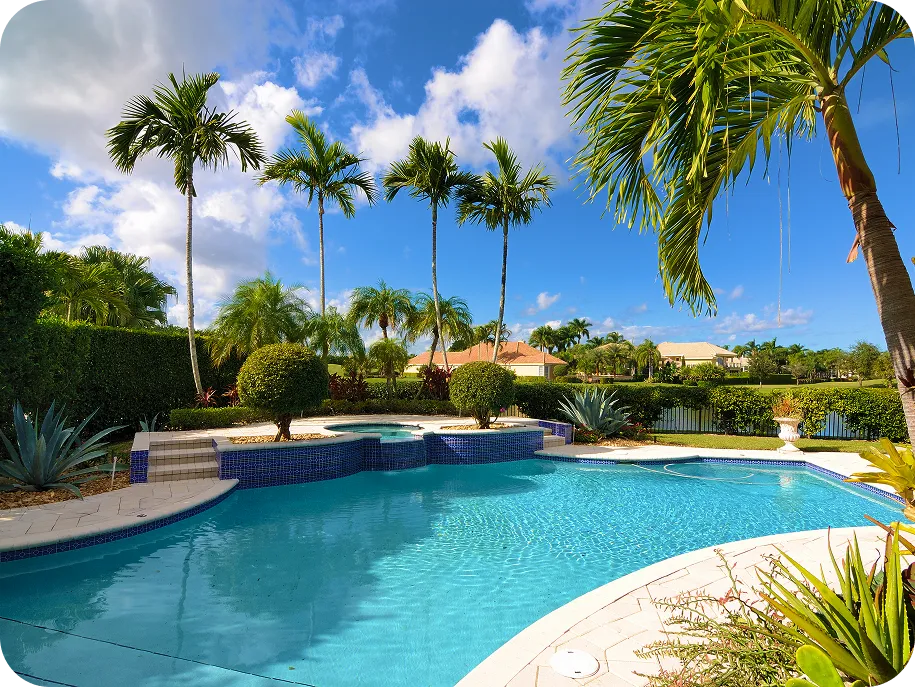 Tropical backyard pool with palm trees and waterfront view.
