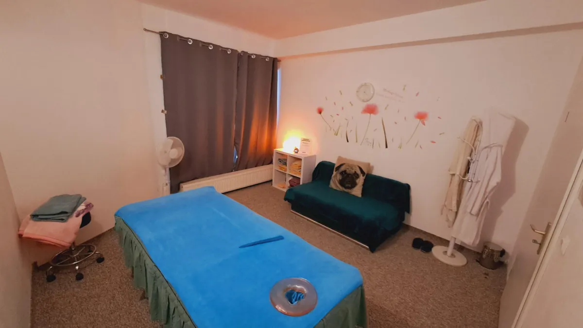 Yangsheng Lünen Liege