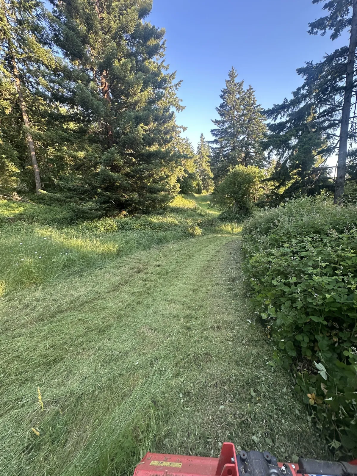 Mowed pasture and cleared grass path improving property maintenance and access
