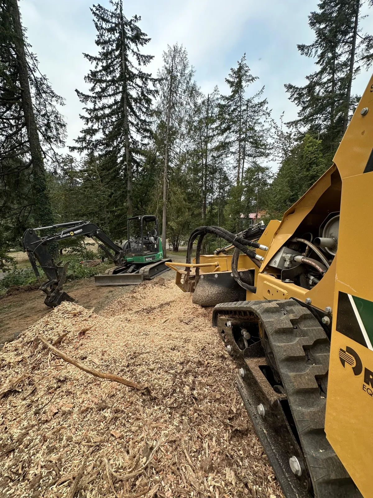 Forestry mulching and land clearing using heavy equipment to remove brush and prepare property