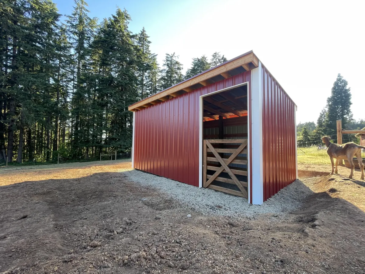 Finished custom goat barn with metal siding and wood gate built in Cottage Grove, Oregon