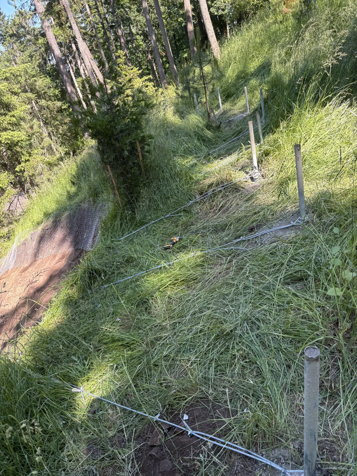 Anchored posts and cable system installed for landslide mitigation and slope stabilization in the South Eugene Hills, Oregon