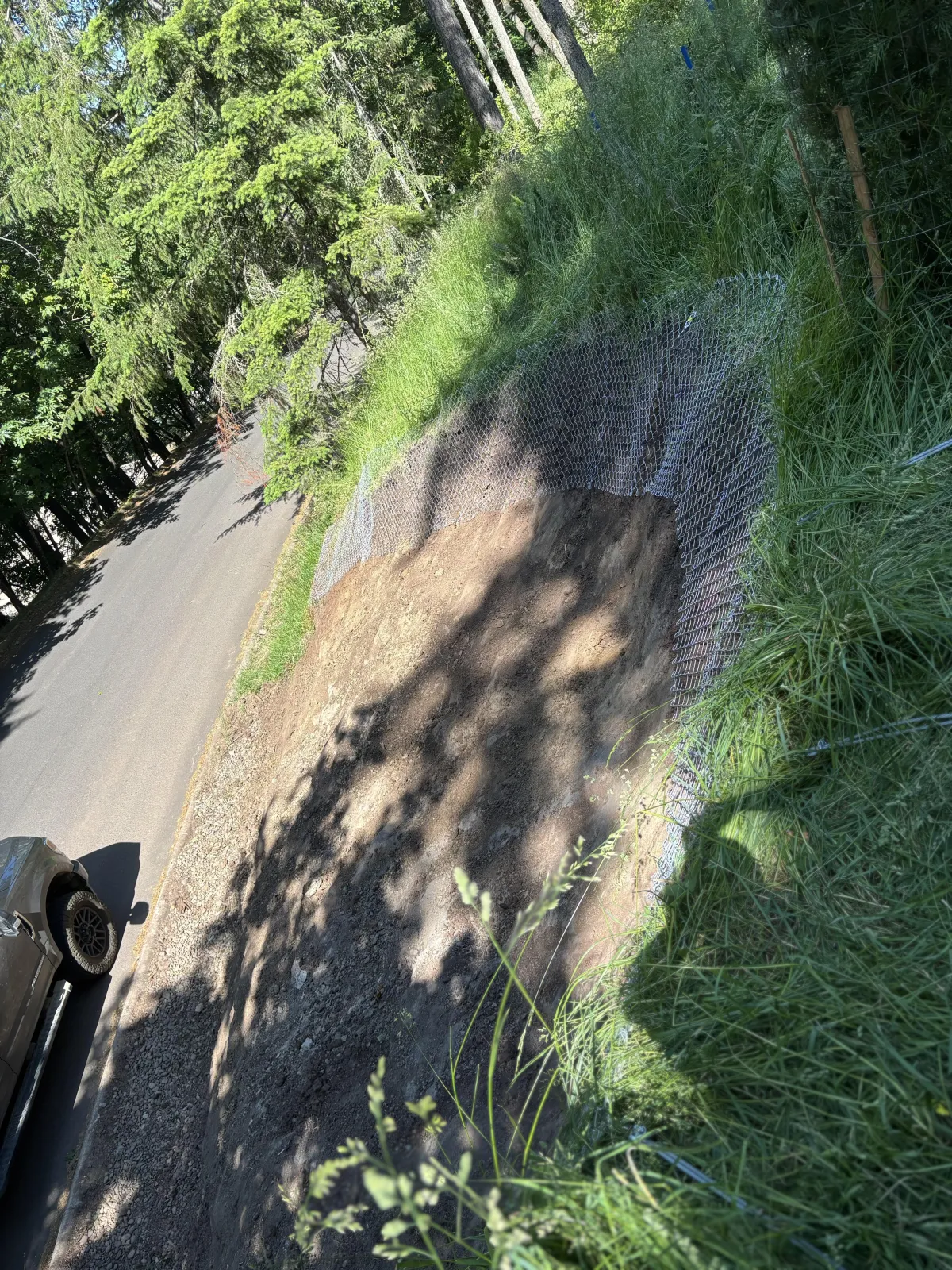 Wire mesh slope stabilization installed after landslide mitigation in the South Eugene Hills, securing the hillside above the roadway