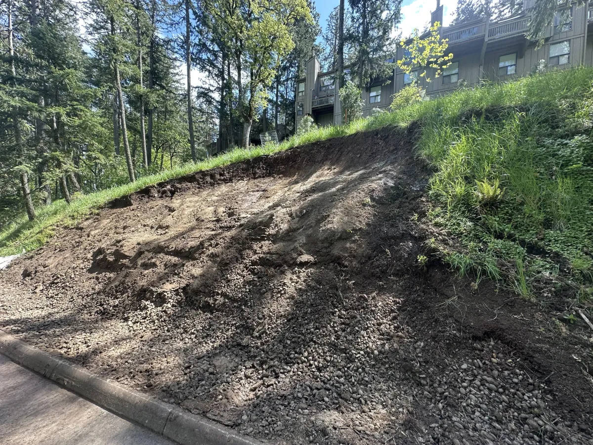 Stabilized hillside after landslide mitigation project in the South Eugene Hills, Oregon, reshaped to a safe grade