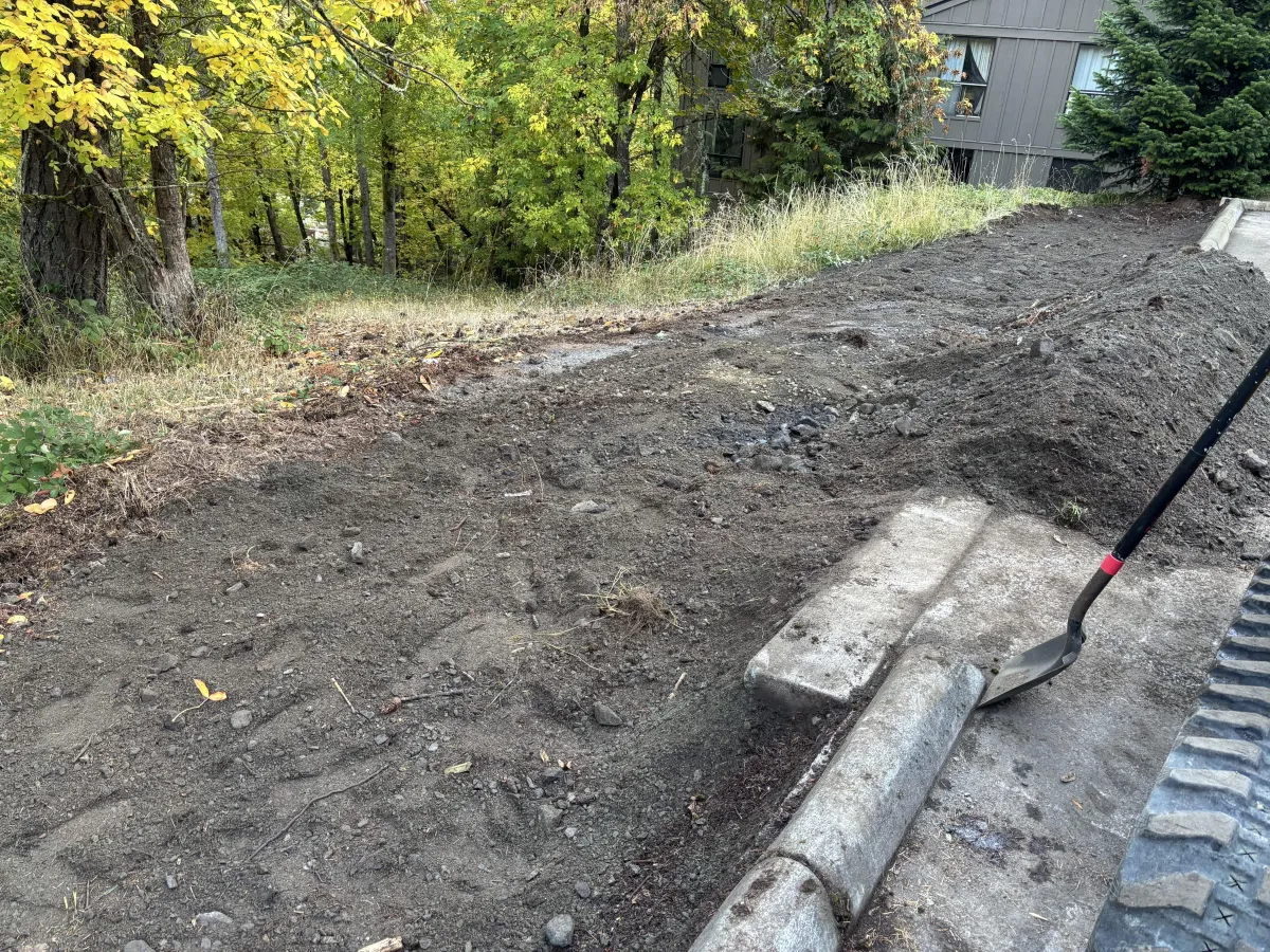 Early signs of slope failure and soil erosion along roadway prior to landslide mitigation in the South Eugene Hills, Oregon